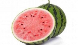 天天吃麒麟瓜好吗,健康生活每一天