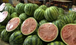 吃瓜自由店,揭秘网红美食背后的秘密