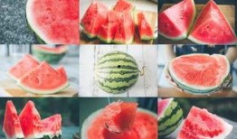 长沙彩虹吃瓜,揭秘网络热点的甜蜜与辛辣