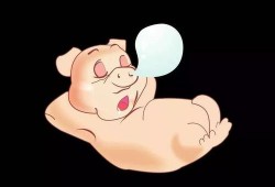 猪直播吃瓜,瓜田里的欢乐盛宴