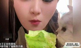 女生怎么吃瓜,轻松解锁娱乐圈八卦新姿势