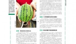 青岛吃瓜事件最新,真相发酵，网络舆论场再掀波澜