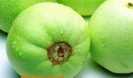 吃田瓜的功效,天然绿色，健康生活新选择