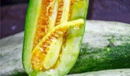 网红吃瓜圈,揭秘娱乐圈幕后风云