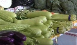 宝丰吃瓜中毒,揭秘夏日美食背后的安全隐患