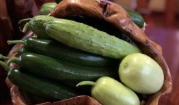 河北网红吃瓜,揭秘网络红人的幕后故事