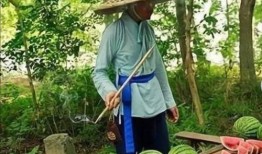 老人路边吃瓜,见证老人悠闲生活的一角