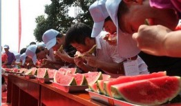 吃瓜爆料主题大赛,揭秘吃瓜爆料大赛背后的精彩故事