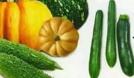 吃瓜的周律师,揭秘法律界的“瓜田”趣事