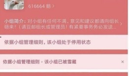 豆瓣怎么有效吃瓜,轻松掌握有效吃瓜技巧