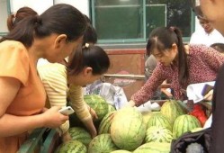 丰台村吃瓜群众,吃瓜群众的欢乐盛宴