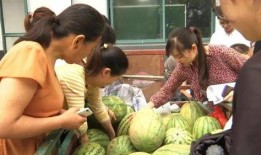 丰台村吃瓜群众,吃瓜群众的欢乐盛宴