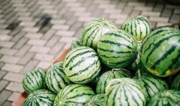 葵酱吃瓜专用群,揭秘娱乐圈幕后故事