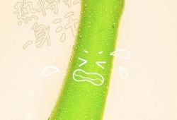 讲课式吃瓜,揭秘那些年我们一起“吃瓜”的故事