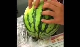 吃瓜医学,揭秘吃瓜医学生的趣味生活与医学知识