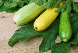 痛风可以吃交瓜,揭秘交瓜的神奇食疗功效