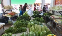 台儿庄吃瓜群众,吃瓜群众的视角，揭秘历史风云