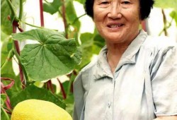 吴明珠自由吃瓜,自由吃瓜，畅享人生百态