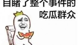玫瑰擦汗吃瓜群众红脸,揭秘网络舆论场的众生相