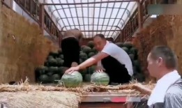 吃瓜现场警匪,警匪交锋，真相大白