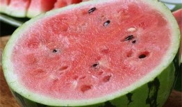 麒麟瓜有小瓜吗怎么吃,麒麟瓜小瓜的多样吃法探索