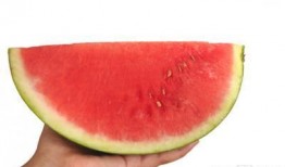 廊坊永清吃瓜事件,一场网络热议背后的真相揭秘