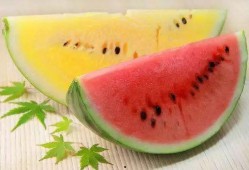 养成系统吃瓜,解锁快乐生活新姿势