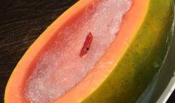 在悉尼吃瓜,一瓜未了，众生相映