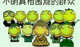 叮咚吃瓜群众上线