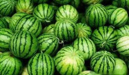 庄河直播吃瓜事件,揭秘网络直播背后的争议与反思