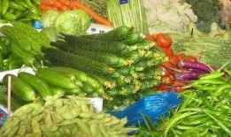 宁远舟背景吃瓜,从神秘背景到娱乐圈风云人物