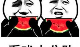 吃瓜大表情包,趣味横生的网络文化现象