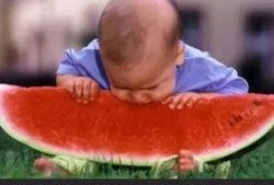 阿咪玩梦幻吃瓜