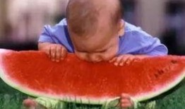 阿咪玩梦幻吃瓜