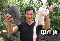 刘大瓜吃大甲鱼,勇闯美食极限