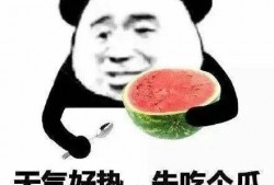 吃瓜蒋怂怂,揭秘娱乐圈背后的故事
