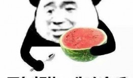 吃瓜蒋怂怂,揭秘娱乐圈背后的故事