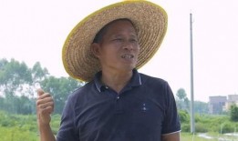 静雯吃瓜中之王,吃瓜界的王者传奇