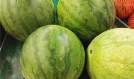 病人梦见吃瓜,揭秘病人梦见吃瓜的寓意