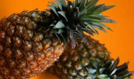 dy菠萝吃瓜,揭秘网络红人的瓜田奇遇