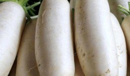 吃瓜大白温颜后续,揭秘娱乐圈背后的情感纠葛