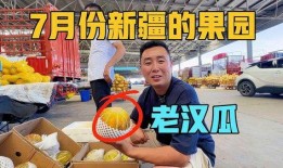 吃新疆老汉瓜视频,舌尖上的新疆风情