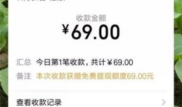 扫码吃瓜违法吗,法律边界与风险探讨