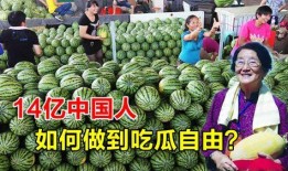 中国吃瓜视频,网络舆论场中的“瓜农”与“吃瓜群众”