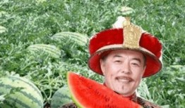 路边吃瓜哥,揭秘街头巷尾的趣味人生