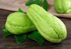 吃西药能吃楠瓜吗,西药与楠瓜同食的安全性探讨