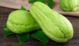 吃西药能吃楠瓜吗,西药与楠瓜同食的安全性探讨