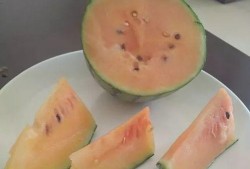 吃瓜点不进去,揭秘“吃瓜点不进去”现象背后的真相