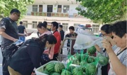 台儿庄吃瓜群众,吃瓜群众的视角，揭秘历史风云