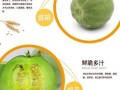 甜瓜脆瓜怎么吃,解锁夏日清新美味
